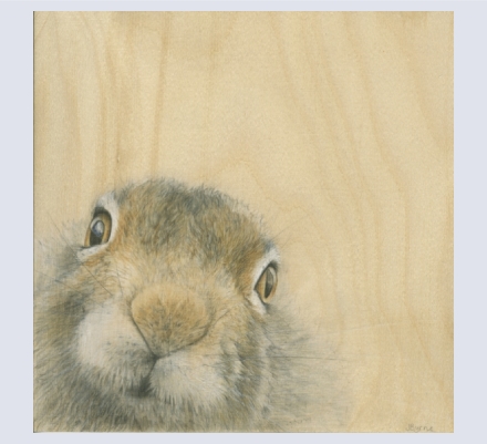 Jacqueline Byrne - Artist based in Holt, Wiltshire