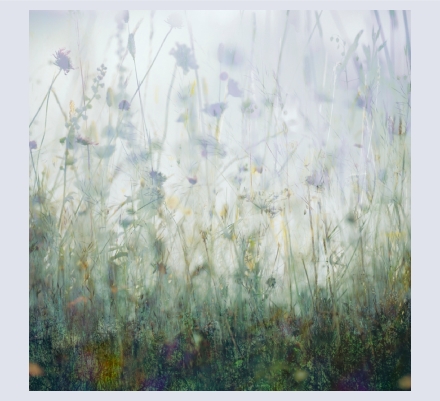 Jo Stephen