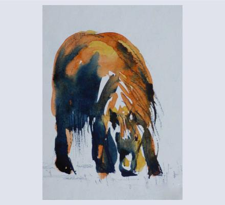 Wendy Jump - Artist based in Wimborne Minster, Dorset