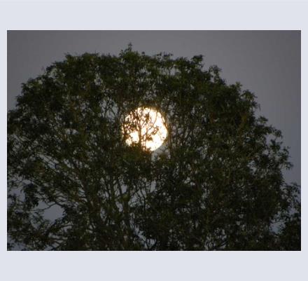 Claire Bennett - Photographer based in Avebury, Wiltshire