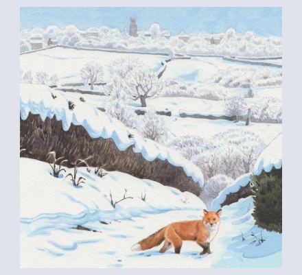 Kate Davies - Artist and Illustrator based in Bath, Somerset