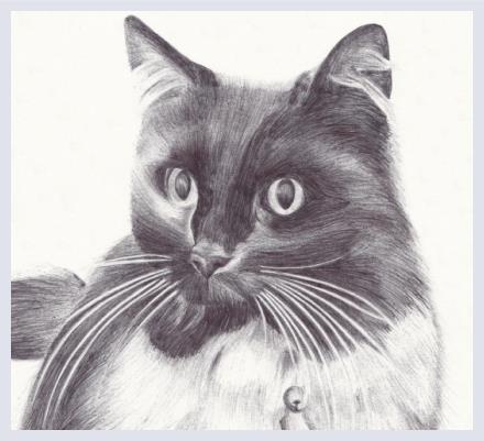 Elisa Etemad - Artist and Illustrator based in Huddersfield, Yorkshire West Riding