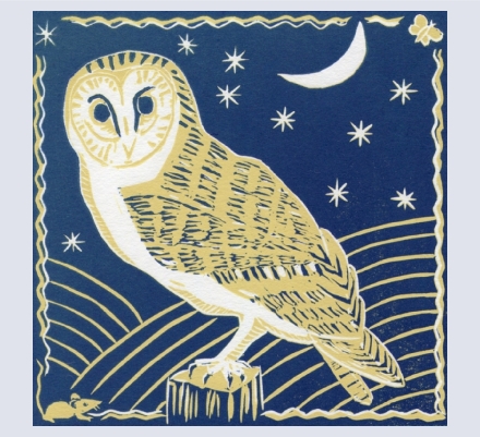 Carolyn Murphy - Artist based in Manchester