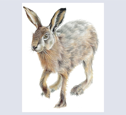 Jasmine Smart Fine Art