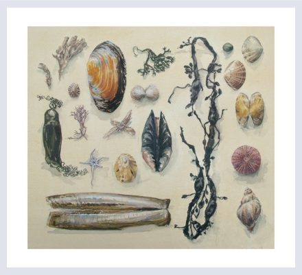 Helen Fay - Artist based in Alnwick, Northumberland