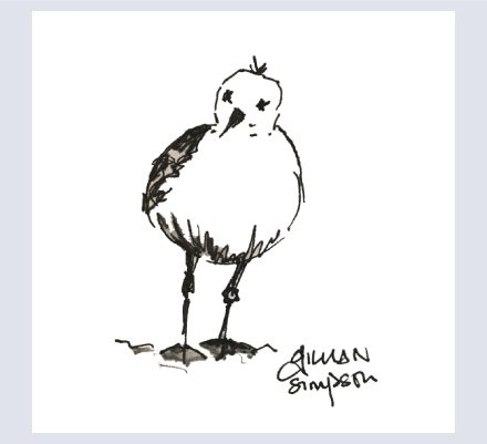 Gillian Simpson - Artist based in Bromsgrove, Worcestershire