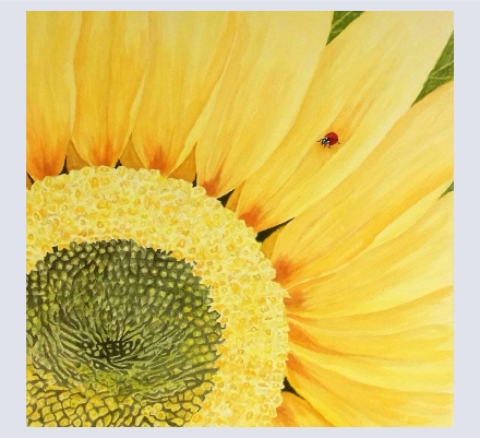 Pam Hague - Artist based in Swindon, Wiltshire