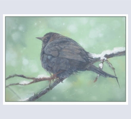 Gwen Kitching - Artist and Photographer based in Gilberdyke, Yorkshire