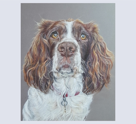 Claire Mills - Artist based in Bromsgrove, Worcestershire