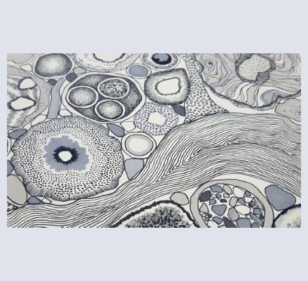 Rhiannon Cross - Artist and Illustrator based in Somerset