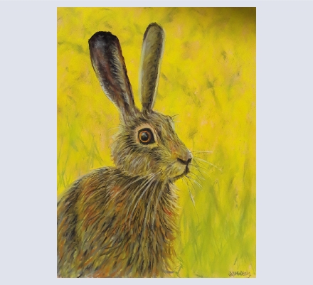 Art by Dawn Mortiboy