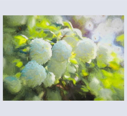 Helen White - Artist based in Reading, Berkshire