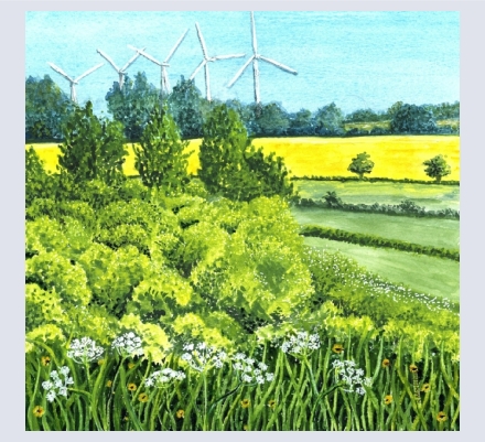 Katharine Mortiboy (née Lorimer) - Artist based in Shrivenham, Oxfordshire