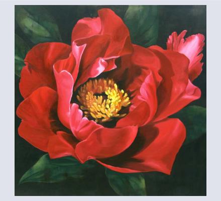 Caroline Pedler - Artist and Illustrator based in Falmouth, Cornwall