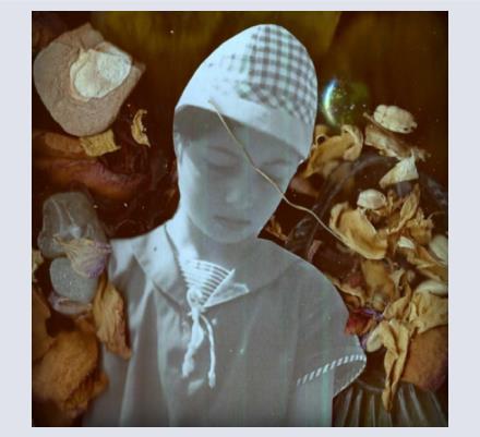 Nina Feldman - Artist and Photographer based in Cirencester, Gloucestershire