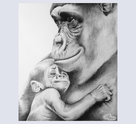 Ashpole Animal Art - Artist based in Chester, Cheshire
