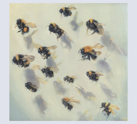 John Wiltshire - Artist based in Canterbury, Kent