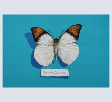 Jill Iliffe - Artist based in Lingfield, Surrey