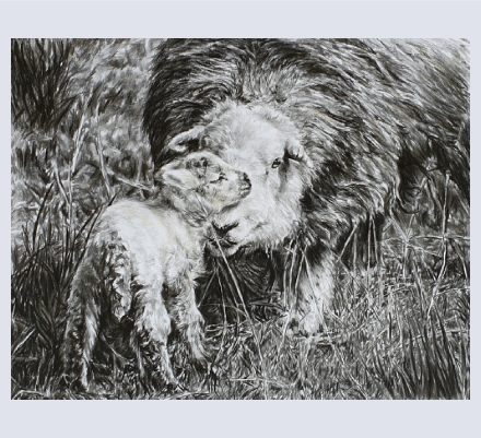 Rebecca Taylor - Artist based in Billingshurst, West Sussex