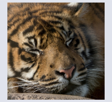 Davansa Photography - Photographer based in MANCHESTER, Greater Manchester