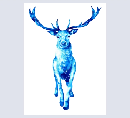 Peter Stagg - Artist and Illustrator based in Atherington, Devon