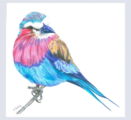 Liz Corley Art