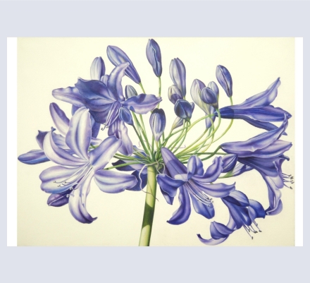 Gemma Swan Studio