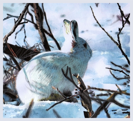 Emily Wallis - Artist and Illustrator based in Wells, Somerset