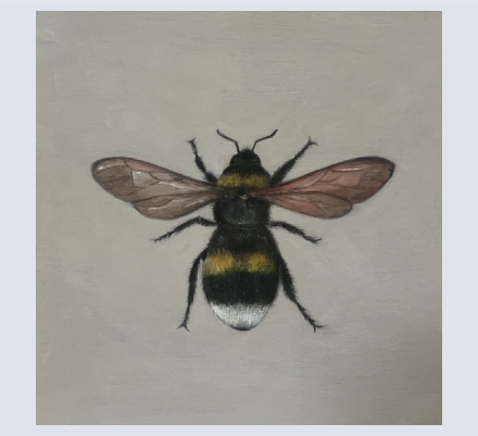 Amanda Brooks - Artist based in Modbury, Devon