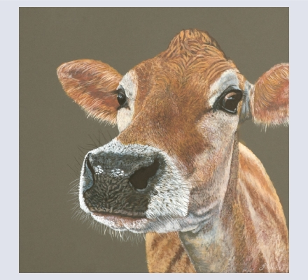 Julie Weir Art - Artist and Illustrator based in Devizes, Wiltshire