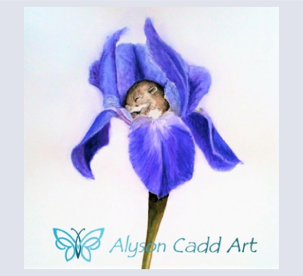 Alyson Cadd - Artist based in Beaminster, Dorset