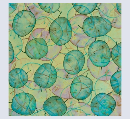 Jane Simmonds - Artist and Photographer based in Drybrook, Gloucestershire