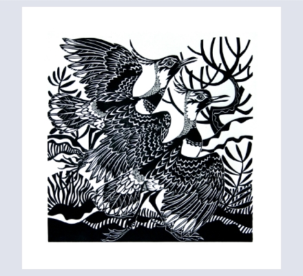 julian witts - Artist based in Lee, Devon