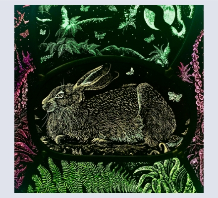 Tamsin Abbott - Artist and Illustrator based in Hereford, Herefordshire