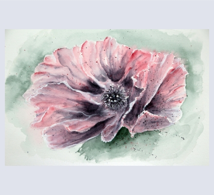 Jill Marsden