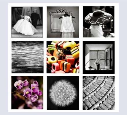 Tina Hadley Photography