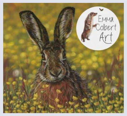 Emma Colbert Art - Artist based in Portrush, Antrim