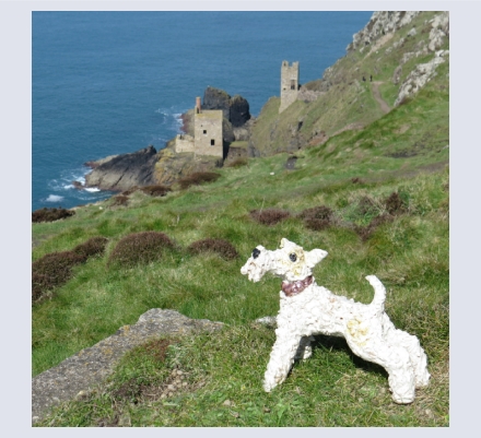 Jane Adams Ceramics - Artist, Illustrator and Photographer based in St Just, Penzance, Cornwall