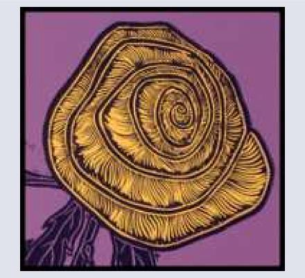 Yellow Rose Design