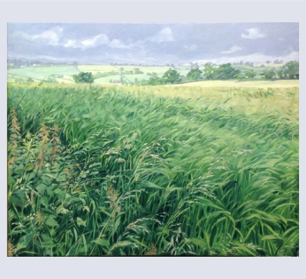 Chris Williams - Artist based in Hereford, Herefordshire