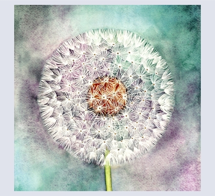 Nancy Jones - Artist based in Wimborne, Dorset