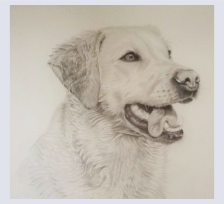 Theresa Nutting - Artist based in wimborne, Dorset