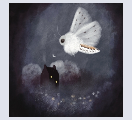 Lesley Brereton - Artist and Illustrator based in Northwich, Cheshire