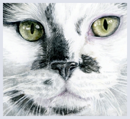 Beverley Sweetman