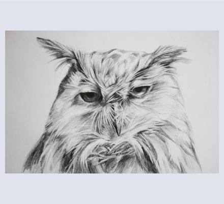 Laura Hartfield Art