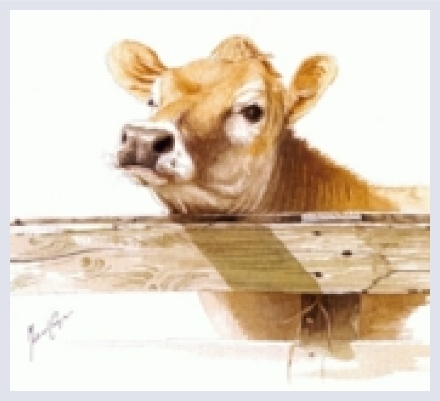 Michael Cooper - Artist based in Ashcott, Somerset