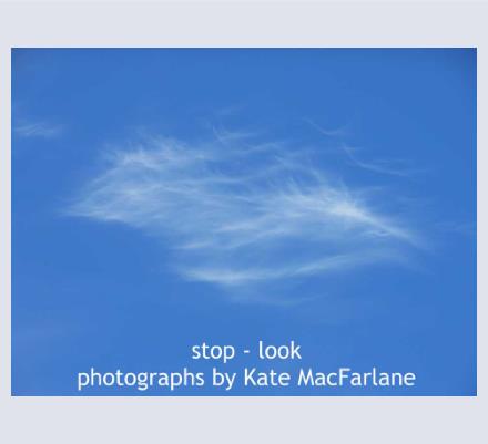 Stop - Look