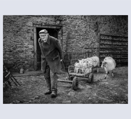 Pauline Rook Photography