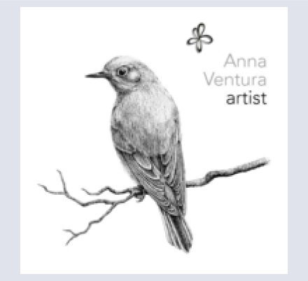 Anna Ventura Artist - Artist and Illustrator based in Kingsbridge, Devon
