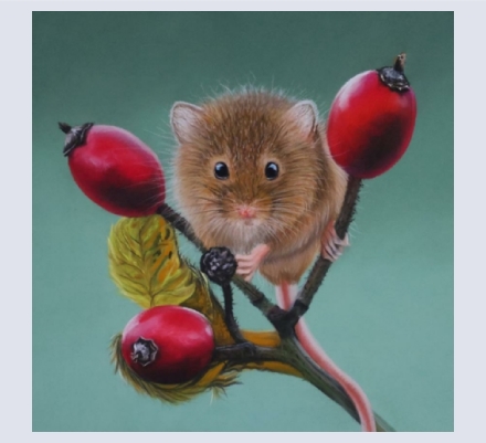 Sophie Parkhil - Artist based in Prestatyn, Denbighshire